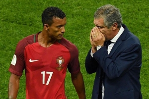 Luis Nani