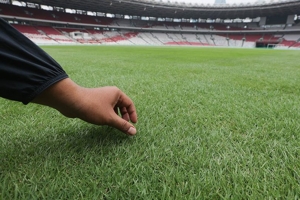 Pemain Jepang Kritik Rumput GBK, Pengelola Langsung Gercep Benerin, Begini Updatenya! Pemain Jepang Kritik Rumput GBK, Pengelola Langsung Gercep Benerin, Begini Updatenya!