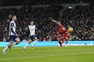 Jadwal, Siaran Langsung, dan Live Streaming Tottenham vs Liverpool