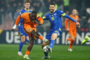 Hasil Bosnia-Herzegovina vs Belanda: Skor 1-1