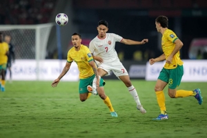 Resmi! Inilah Stadion Venue Laga Australia vs Timnas Indonesia, Maret 2025