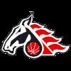BK Pardubice