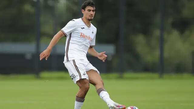 Bek Swansea City, Nathan Tjoe-A-On. (Bola.com/Dok.Swansea City).