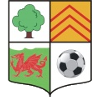 Merthyr Town